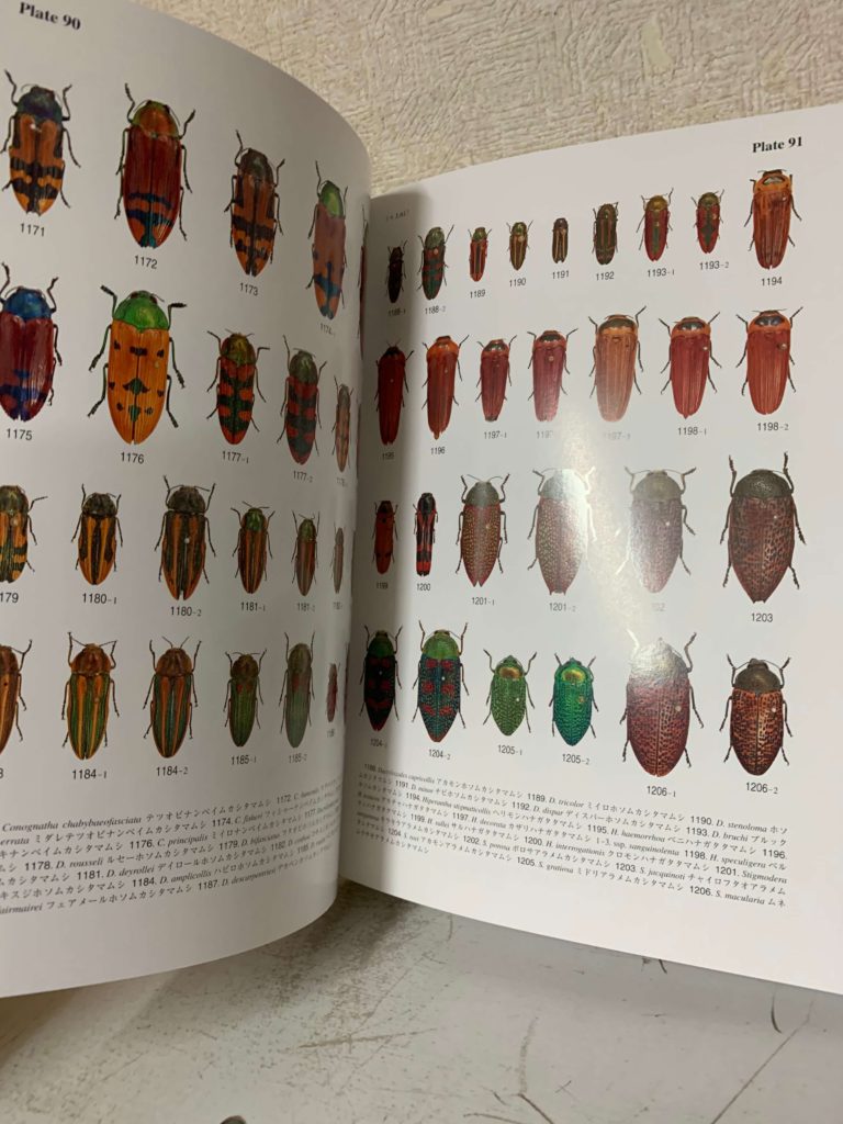 昆虫図鑑の最高峰 『月刊むしの昆虫大図鑑シリーズ』を買取致しました